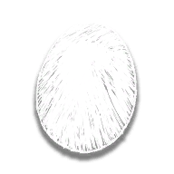 provision_chicken_egg