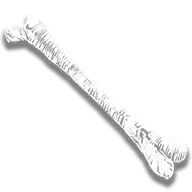 provision_db_finger_bone
