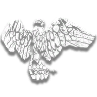 provision_disco_ancient_eagle