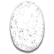 provision_disco_gator_egg