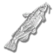 provision_fish_catfish_legendary