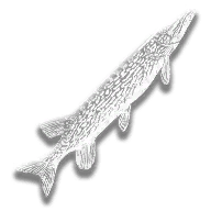 provision_fish_chain_pickerel