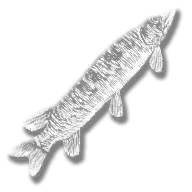 provision_fish_fin_pickerel_legendary