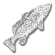 provision_fish_lmbass_legendary