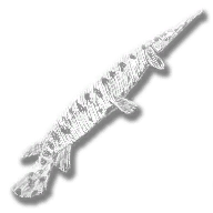 provision_fish_long_nose_gar_legendary