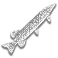 provision_fish_northern_pike