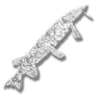 provision_fish_northern_pike_legendary