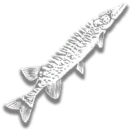 provision_fish_redfin_pickerel