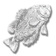 provision_fish_rock_bass_legendary