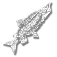 provision_fish_salmon_legendary