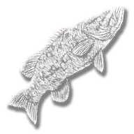 provision_fish_sm_bass_legendary