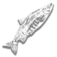 provision_fish_sockeye_salmon