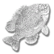 provision_fish_steelhead_bluegill_legendary