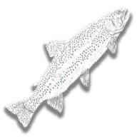 provision_fish_steelhead_trout
