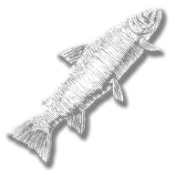 provision_fish_steelhead_trout_legendary