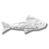 provision_fsh_whittled_minnow