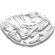 provision_rc_quartz_chunk