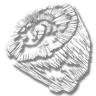 provision_rf_wood_cobalt