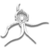provision_ro_flower_clamshell
