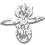 provision_ro_flower_queens