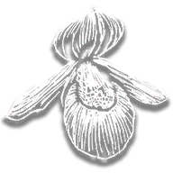 provision_ro_flower_sparrows