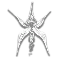 provision_ro_flower_spider