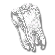 provision_silvertooth