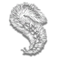 provision_squirrel_tail