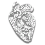 provision_trinket_bear_heart