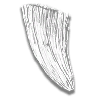 provision_trinket_cougar_fang