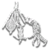 provision_trinket_gilamonster_tooth