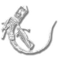 provision_trinket_iguana_scale