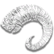 provision_trinket_ram_horn