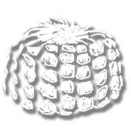 upgrade_fsh_bait_corn