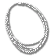 weapon_lasso