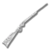 weapon_repeater_carbine