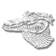 animal_alligator