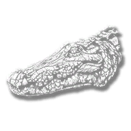 animal_alligator_big