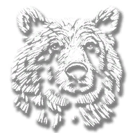 animal_bear