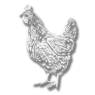 animal_chicken_java