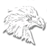 animal_eagle