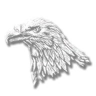 animal_eagle_bald