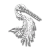 animal_egret_little