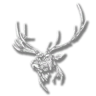 animal_elk_rocky