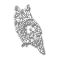 animal_owl_great