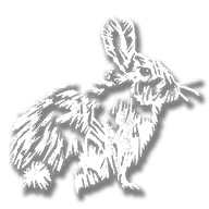 animal_rabbit