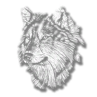 animal_wolf_timber