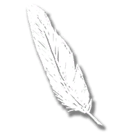 generic_animal_feather_large