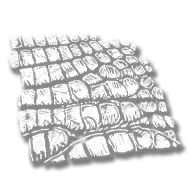 provision_alligator_skin