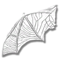 provision_bat_wing